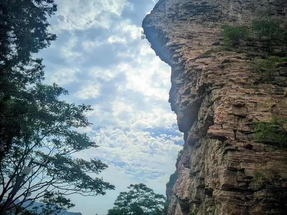 LieAll 20230702 100709642.RESTORED